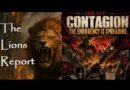 How energy spikes trigger collapse. Mannarino