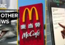 In Other News: McDonald’s Bet On China, Spy Dolphins, And AI Layoffs Vs. Stocks