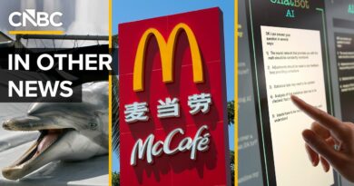 In Other News: McDonald’s Bet On China, Spy Dolphins, And AI Layoffs Vs. Stocks