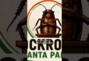 India’s ‘cockroach’ movement goes viral
