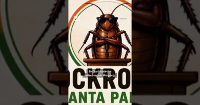 India’s ‘cockroach’ movement goes viral