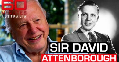 Inside the wild life of broadcasting legend Sir David Attenborough | 60 Minutes Australia