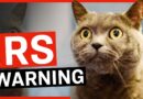 IRS Issues Massive Warning to Americans on AI
