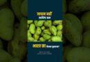 Japan ने India का आम खरीदने से क्यों किया इंकार? India को इससे कितना नुकसान होगा? | INDIAN MANGOES