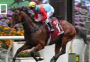 Jockey Zac Purton says wife Nicole made his journey possible