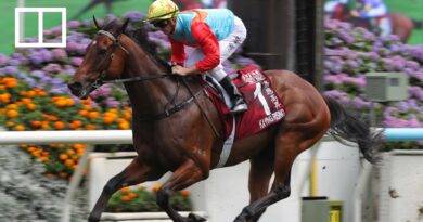 Jockey Zac Purton says wife Nicole made his journey possible