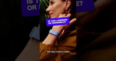 Lavender or periwinkle? #Vergecast