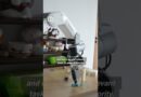 Meet China’s home-cleaning robot