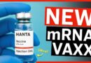 Moderna Announces New mRNA Hantavirus Vaccine as Cruise Passengers Fly Home