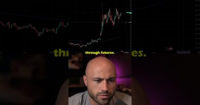 My Current Portfolio Hedges and Oil Outlook