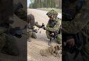 NATO Tries to Prove Its Strength—to Trump and Putin
