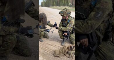 NATO Tries to Prove Its Strength—to Trump and Putin