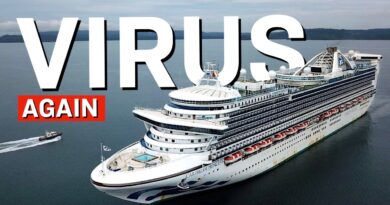 Outbreak Sickens 115 People on Caribbean Princess Cruise Ship, CDC Says