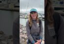 Scientists Use AI Detectors to Protect Gray Whales in San Francisco | WSJ