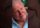 Sir David Attenborough reveals his favourite animal | 60 Minutes Australia