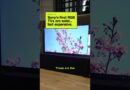 Sony’s first RGB TV is a statement piece