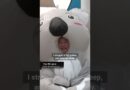 South Koreans snooze their way through power-nap contest