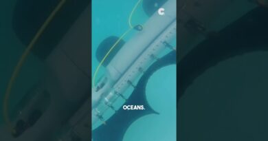 Swimming, crawling, and sliding across water, can a robot do all that?🌊