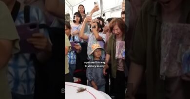 Taiwan town celebrates snail’s pace lifestyle
