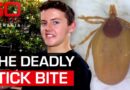 The bizarre tick bite that makes eating red meat deadly | 60 Minutes Australia