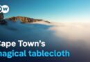 The cloud that gives life to Cape Town – The magic of Table Mountain’s tablecloth | DW Documentary
