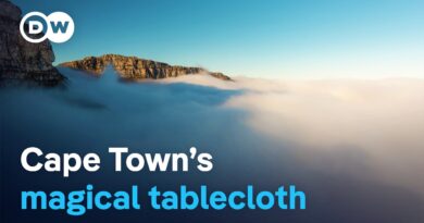 The cloud that gives life to Cape Town – The magic of Table Mountain’s tablecloth | DW Documentary