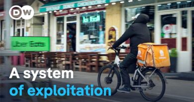 The courier driver business | DW Documentary