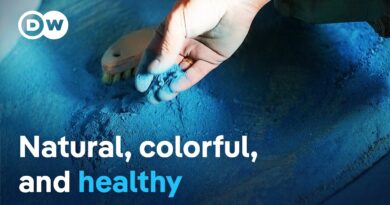 The magic of colors | DW Documentary