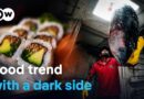 The sushi hype – Ravenous appetites and species extinction | DW Documentary