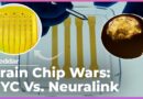 This NYC Startup Implanting More Brain Chips Than Neuralink🧠💡