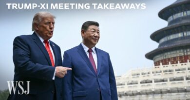 Trump and Xi Seek Stability Despite Deep Divides | WSJ