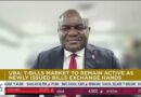 UBA: T-Bills market to remain active as newly issued bills exchange hands