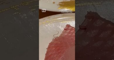 Video of parasite crawling out of sushi goes viral