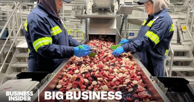 Why Maine’s Blueberry Farmers Are Losing Millions