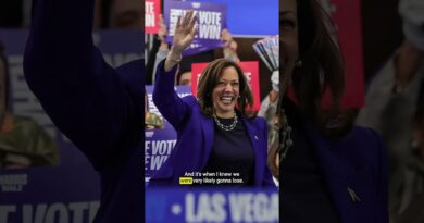 Why sloganeering has harmed Democrats