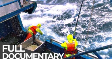 World’s Toughest Fishing Ships | Life Aboard Floating Factories | Free Documentary
