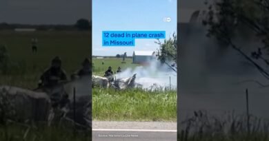 12 dead in plane crash in US state of Missouri | DW News
