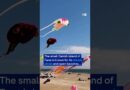25,000 kites fly at world’s largest kite festival | DW News