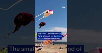 25,000 kites fly at world’s largest kite festival | DW News