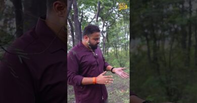 कितना दिन जिएंगे हम?  पत्ता छूते ही हाथों में कालिख,Jharkhand में ये त्रासदी कोई क्यों नहीं देख रहा?