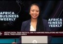 Africa Business Weekly: AfCFTA’s Digital Trade Push