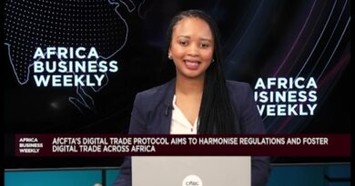Africa Business Weekly: AfCFTA’s Digital Trade Push