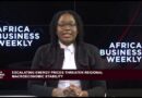 Africa Business Weekly: Sanlam: South Africans planning retirement late