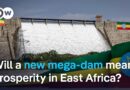 Africa’s biggest dam is running. So why are millions still in the dark? | DW News