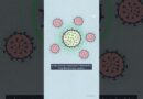 AI just designed a vaccine! | DW News