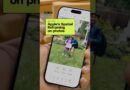 Apple now has spatial reframing