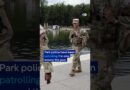 Arrests made over Washington reflecting pool ‘vandalism’ | DW News