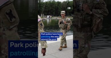 Arrests made over Washington reflecting pool ‘vandalism’ | DW News