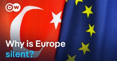 As Turkey cracks down on its opposition, Europe’s response draws questions | DW News
