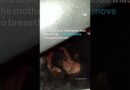 Baby found alive in Venezuela earthquake rubble | DW News
